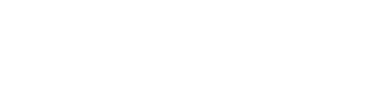 pago online